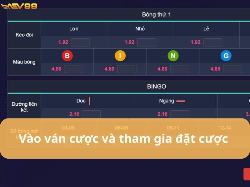 Chọn hình thức và tiến hành đặt cược Chọn hình thức và tiến hành đặt cược